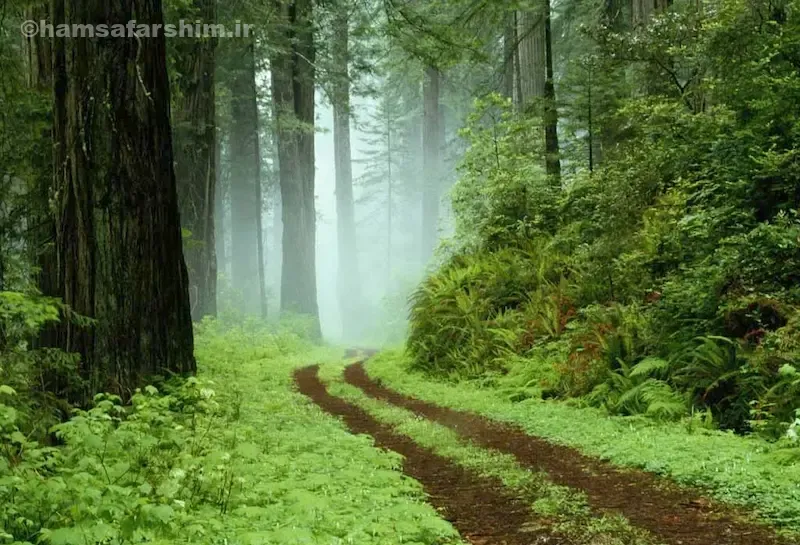 اقامت در بلیران