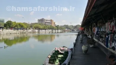 بازار شناور پتا