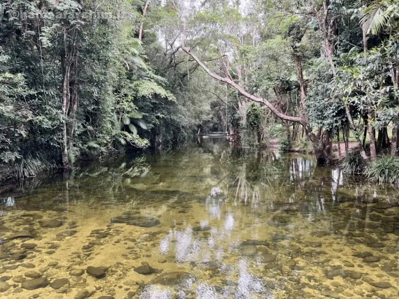بهترین زمان سفر به مرداب وربن
