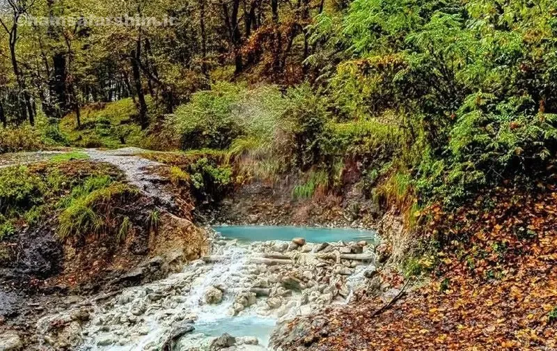 تفریحات و فعالیتهای ممکن در جنگل بلیران