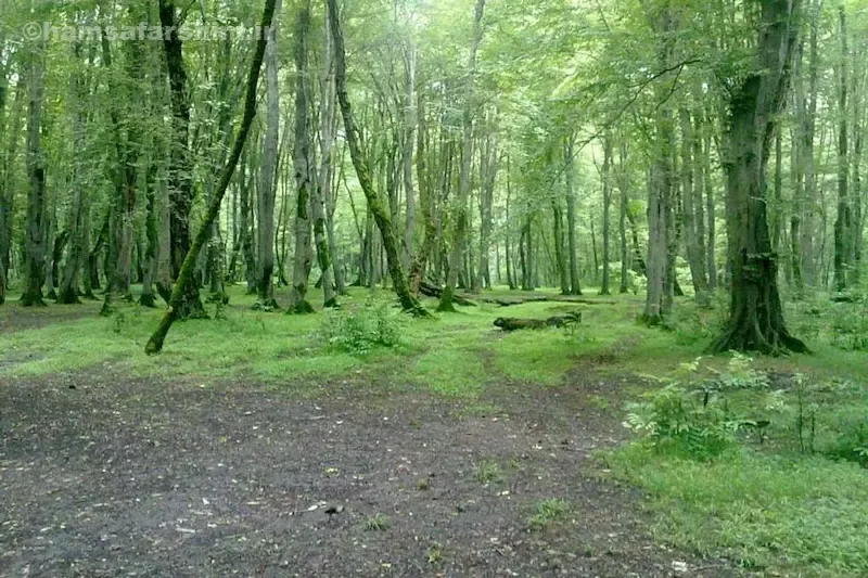 جاهای دیدنی اطراف پارک جنگلی کشپل