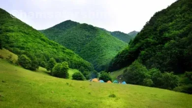 جنگل ارسباران کجاست؟