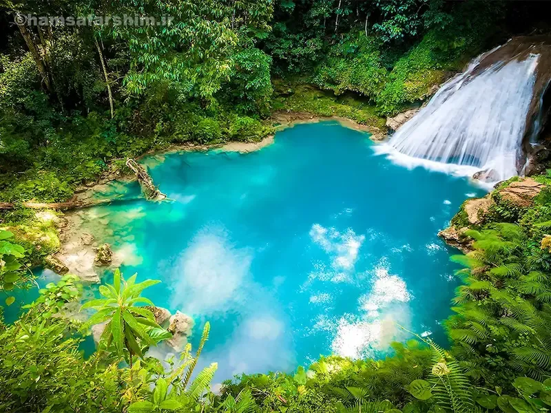 جنگل بلیران