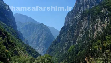 جنگل سفید آب رودسر