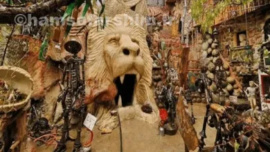 درباره غار موزه وزیری