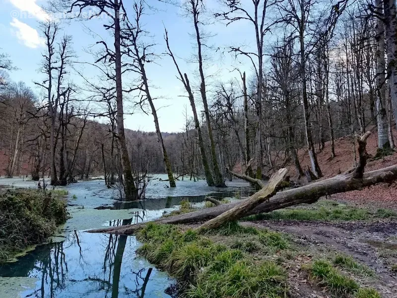 شرایط آب‌وهوایی مرداب دریوک در فصول مختلف