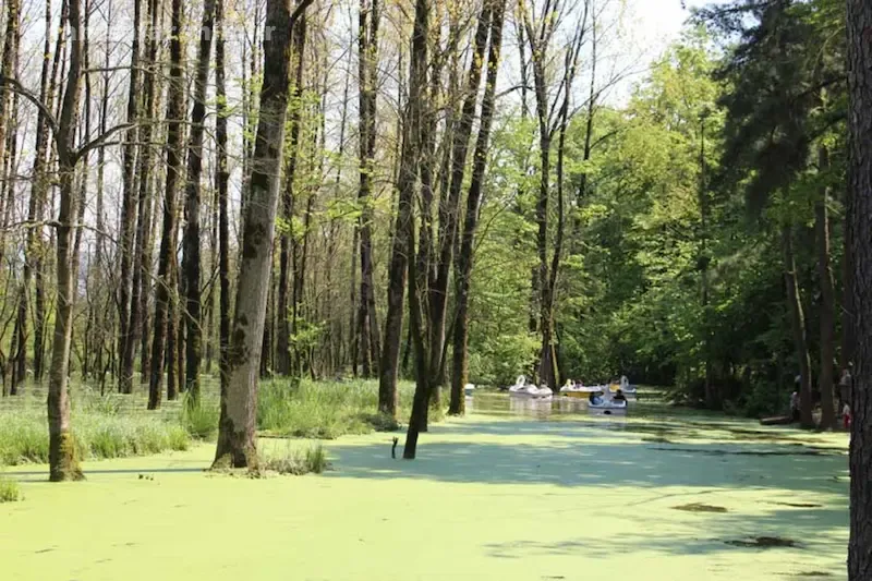 مرداب سراوان رشت