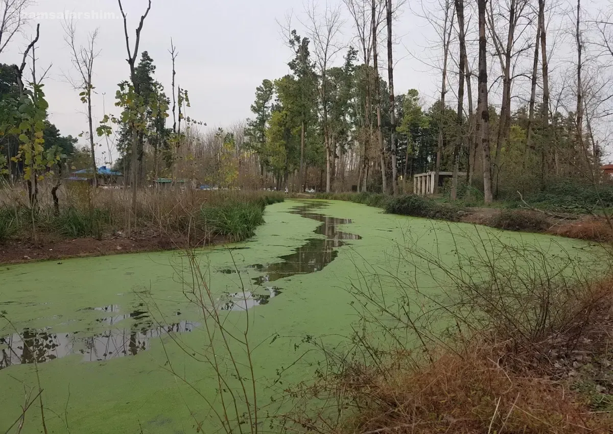 مرداب سراوان کجاست؟