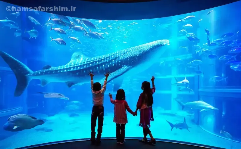 معرفی آکواریوم کایوکان اوساکا