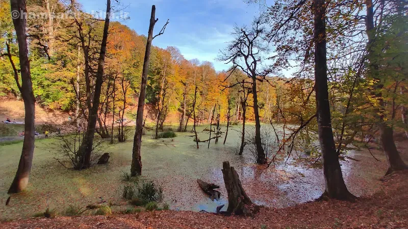 نکات ایمنی مهم قبل از رفتن به مرداب دریوک