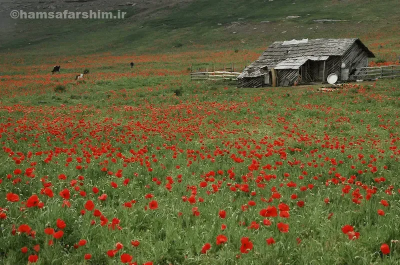 هزینه‌های سفر به کالپوش