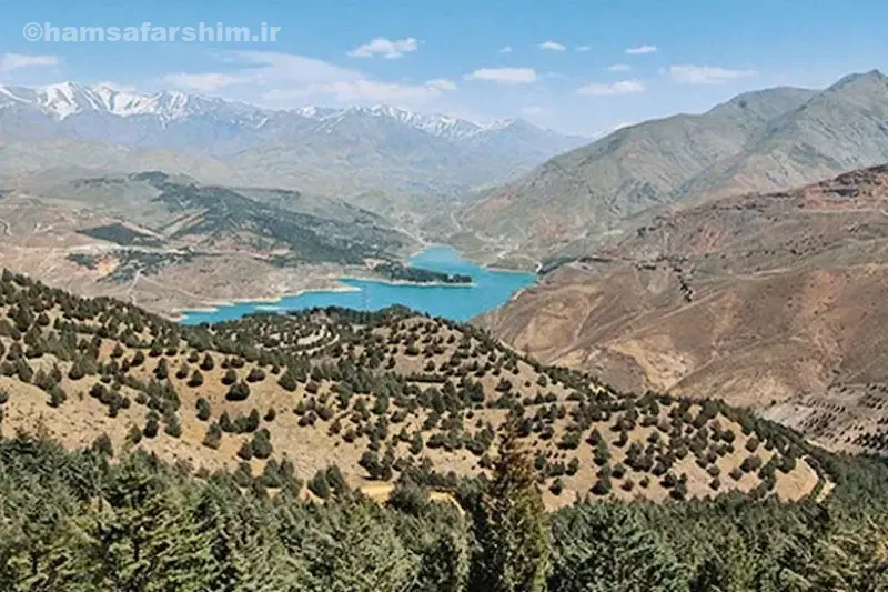 پارک جنگلی تلو مناسب چه افرادی است؟