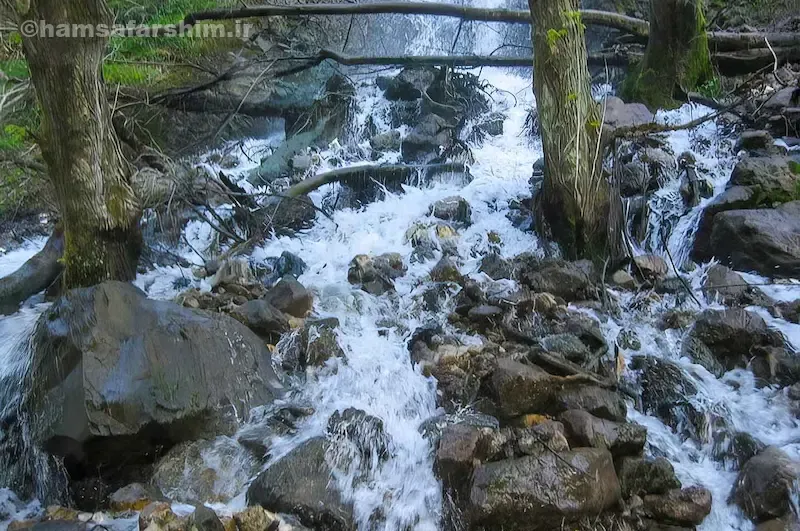 پارک جنگلی سفید آب رودسر کجاست؟