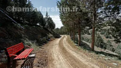 پارک جنگلی غزال (تلو)