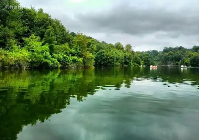 پارک جنگلی کشپل کجاست