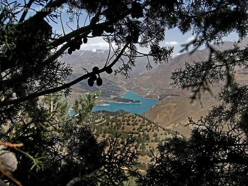 پوشش گیاهی و طبیعت پارک تلو