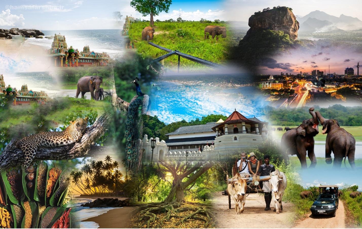 تور-لوکس-سریلانکا