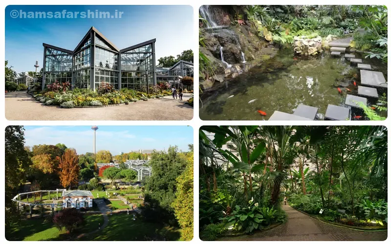 باغ نخل فرانکفورت (Palmengarten)