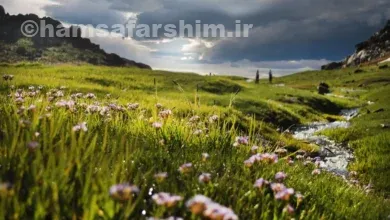 دشت میشان همدان