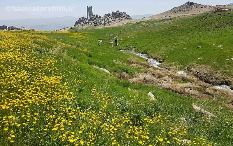 دشت میشان کجاست