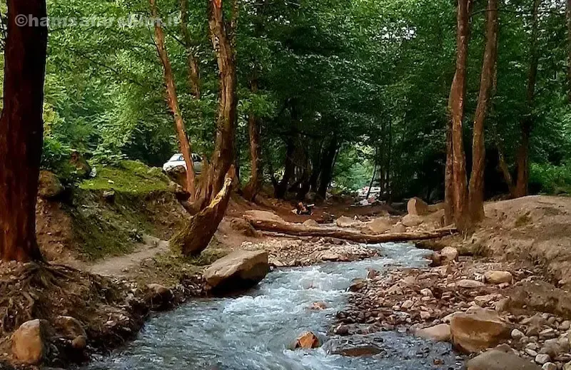 سوغات و محصولات محلی لاویج