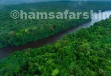 محبوب‌ترین جاهای دیدنی دنیا