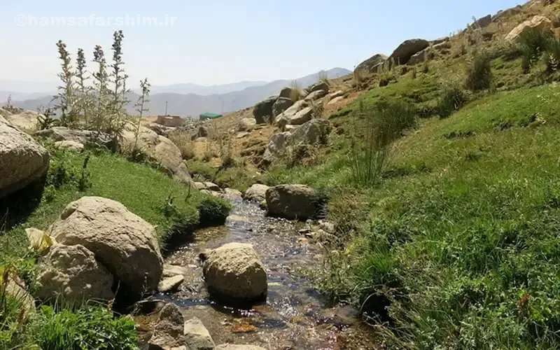 پوشش گیاهی و چشمههای طبیعی دشت میشان