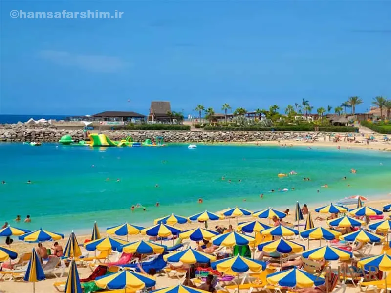 جزایر قناری