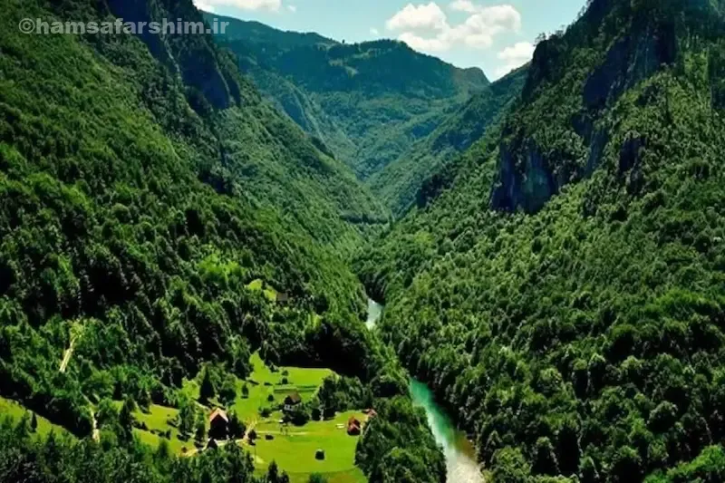 جنگل‌های هیرکانی کجاست؟