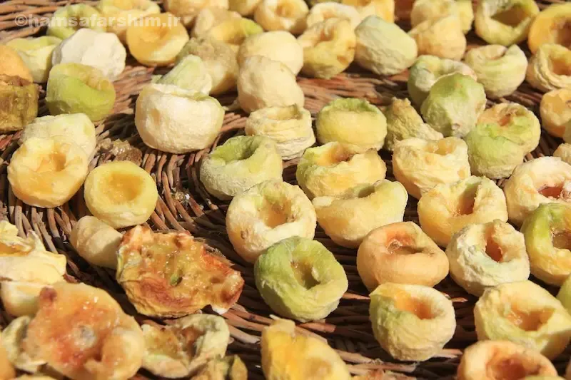 جوزغند نطنز