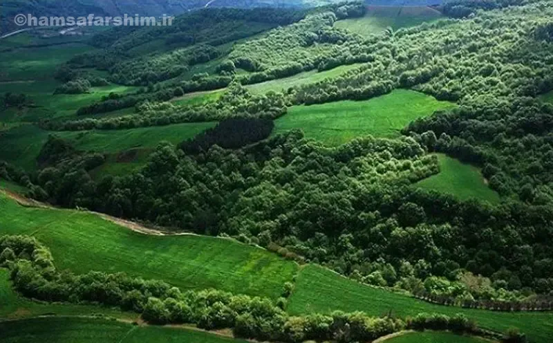 نقش جنگل‌های هیرکانی در جلوگیری از سیل